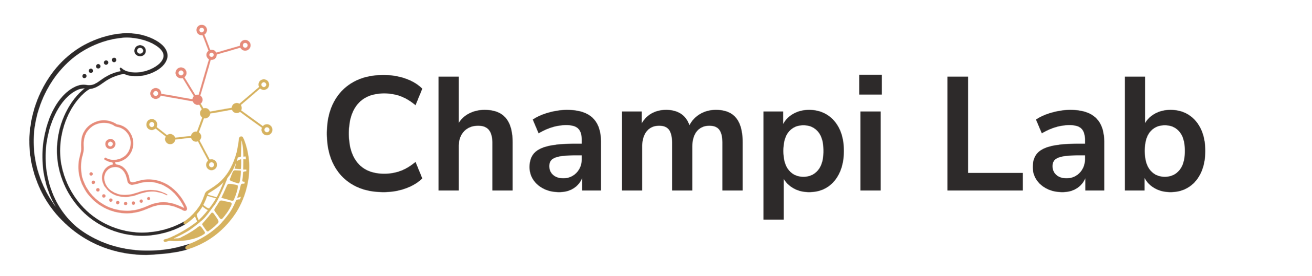 Champi Lab
